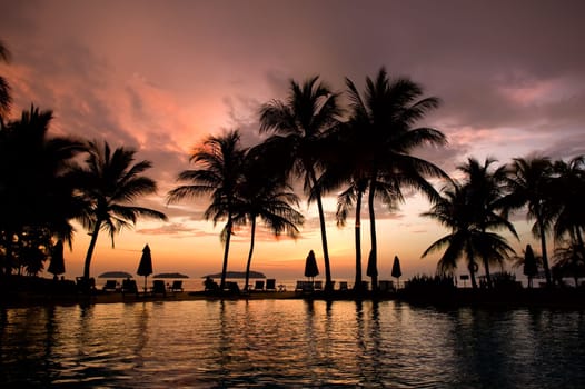Evening in tropical hotel, silhouette of palm tree and swimming pool