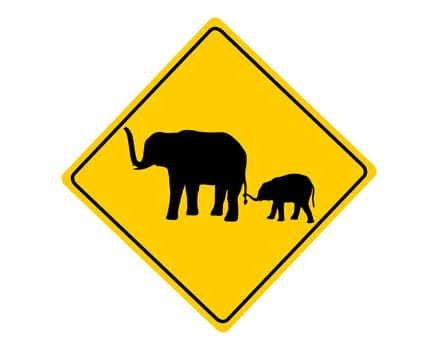 Attention elephants