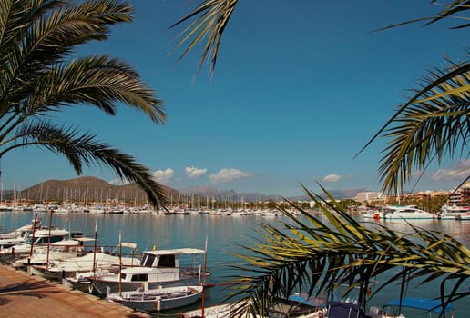 Port d'Alcudia Mallorca Spanien / Port d'Alcudia Mallorca Spain