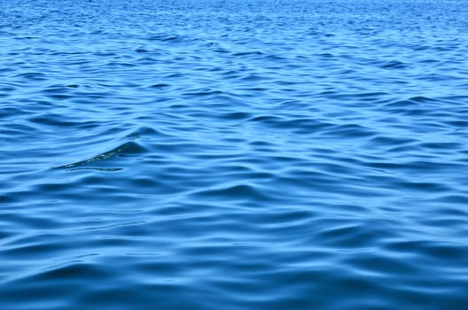 rippled water