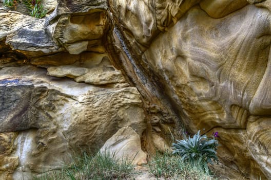 Very detailet rock texture in the forest. With great colors and the image is HDR
