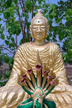 Buddhist figure Thailand,golden spiritual figure