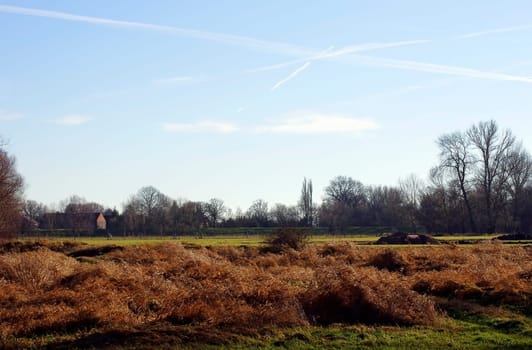 A meadow landscape in front of a dike with a farmstead.