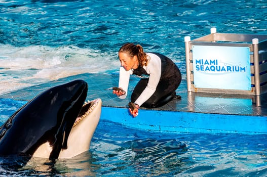 MIAMI,US - JANUARY 24,2014