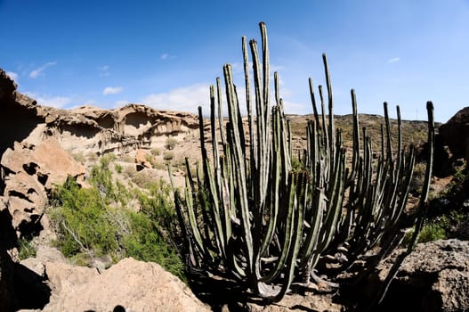 Desert landscape Natural Arch silhouette in Tenerife Canary Islands Spain