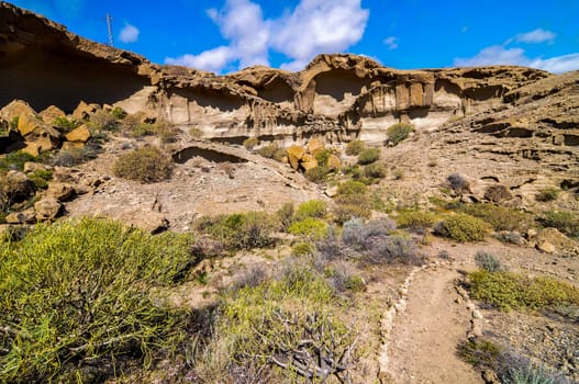 Desert landscape in Tenerife Canary Islands Spain