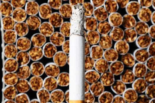 Close-up of Tobacco Cigarettes Background or texture