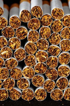 Close-up of Tobacco Cigarettes Background or texture