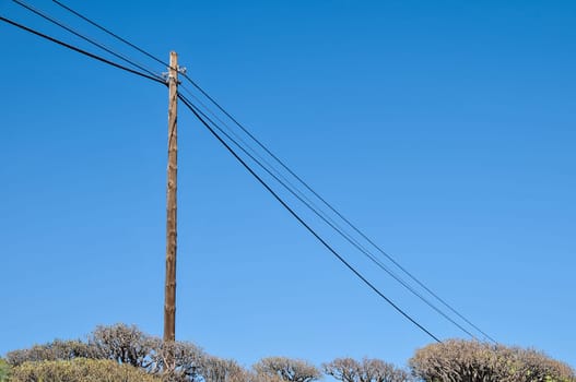 Old retro telephone poles in the field