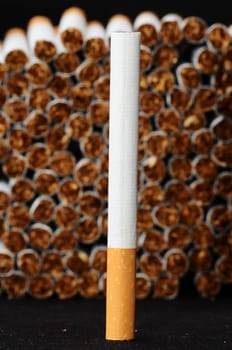 Close-up of Tobacco Cigarettes Background or texture