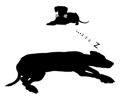 Dog dreams of eating