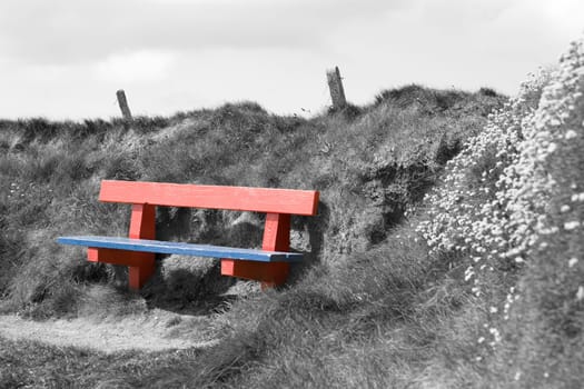 red and blue bench positioned at the edge on top of a cliff in a black and white background