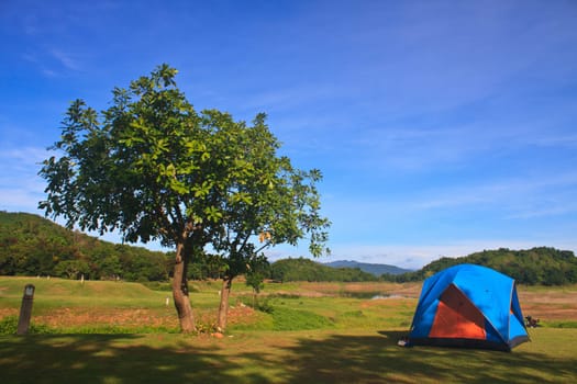 Camping in the wilderness, tent on campground in morning