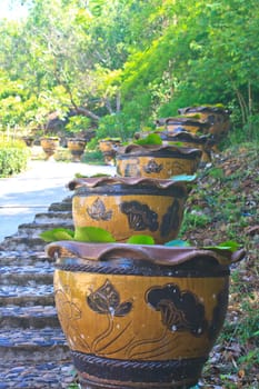Stair with the vases of lotus flowers in garden