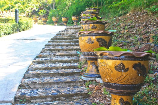 Stair with the vases of lotus flowers in garden