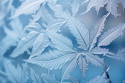 An exquisite display of artistry, capturing the intricate and mesmerizing patterns formed by frost on windows, leaves, and various surfaces through the lens of macro photography, resulting in striking and abstract visual compositions.