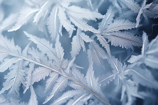 An exquisite display of artistry, capturing the intricate and mesmerizing patterns formed by frost on windows, leaves, and various surfaces through the lens of macro photography, resulting in striking and abstract visual compositions.