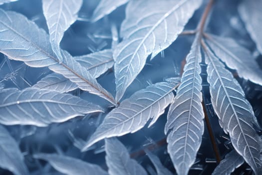An exquisite display of artistry, capturing the intricate and mesmerizing patterns formed by frost on windows, leaves, and various surfaces through the lens of macro photography, resulting in striking and abstract visual compositions.