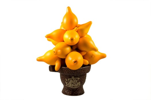 Ornamental solanum mammosum plant, representing lucky symbols in Chinese New Year, isolated over white