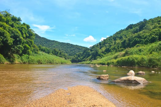 River in deep forest, river in evergreen forest in Thailand