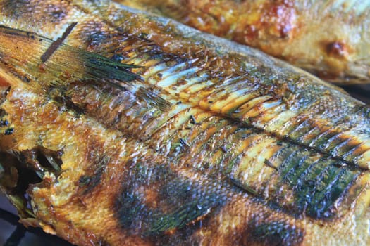 Cooking of salted fish on a grill stove