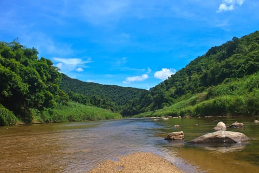 River in deep forest, river in evergreen forest in Thailand