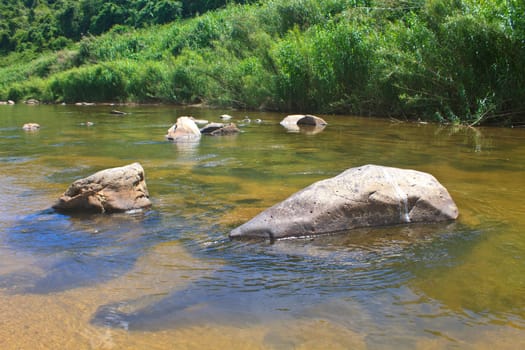 stones in river in deep forest, abstract nature background