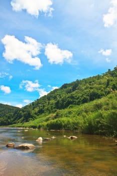 River in deep forest, river in evergreen forest in Thailand