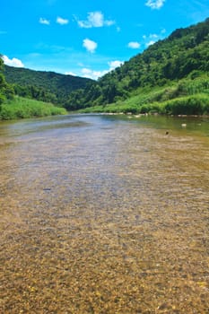 River in deep forest, river in evergreen forest in Thailand