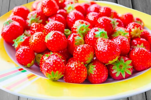 Plate with yellow border filled with fresh little strawberries