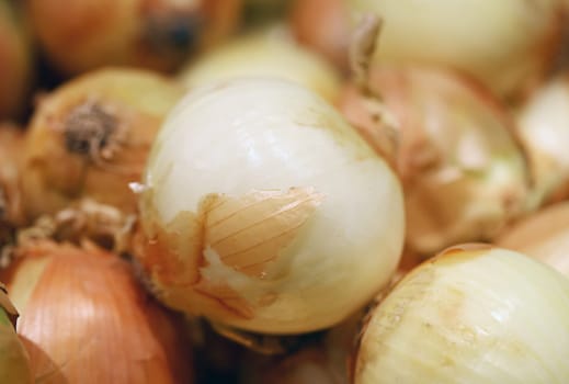 Onion photographed close up natural tasty food