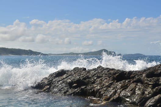 branding in sealrocks