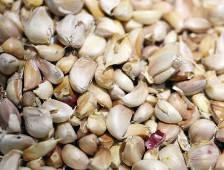 garlic photographed close up natural tasty food