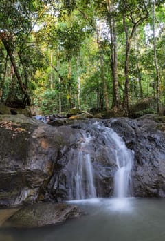 Evergreen forest waterfall