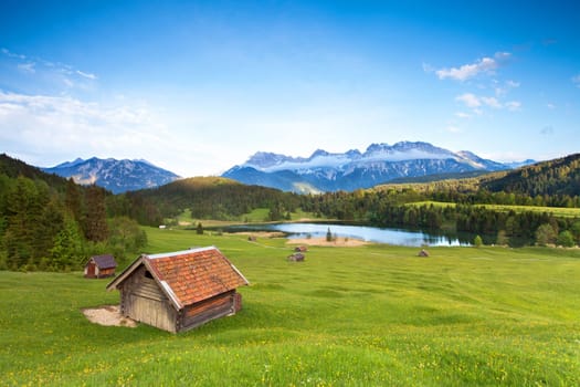 Almwiese am Karwendel