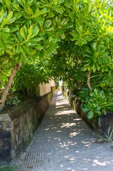 Stairs on a stone wall to an entrance to a house in Bali