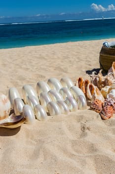 Collected mussels are put up for sale by souvenir dealers on the beach in Bali