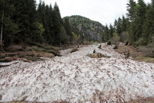Snow avalanche in the mountains of Italy