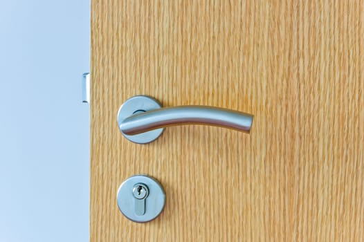 Modren style door handle