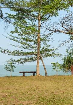 Relax seat at sea shore