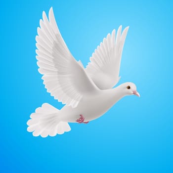 Realistic white dove on blue background. Symbol of peace