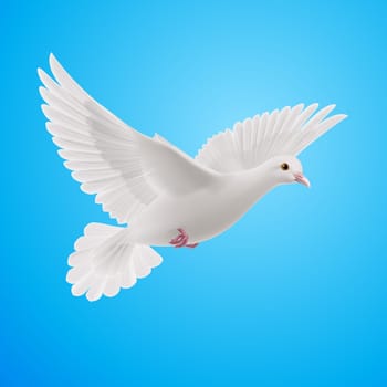 Realistic white dove on blue sky background. Symbol of peace