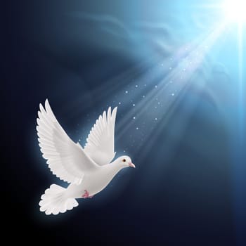 White dove flying in sun rays against dark  blue sky. Symbol of peace