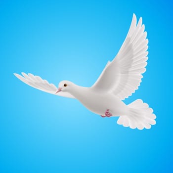 Flying white dove on blue background. Symbol of peace
