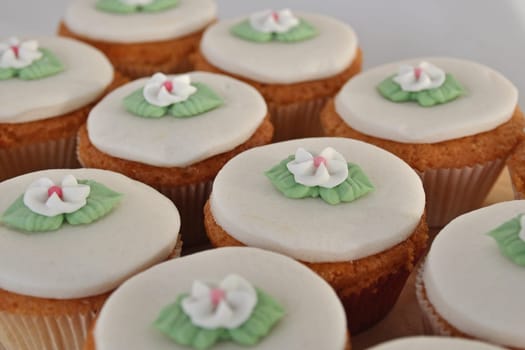 Wedding Cupcakes