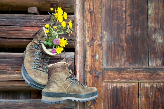 Hiking shoes on rustic wooden wall