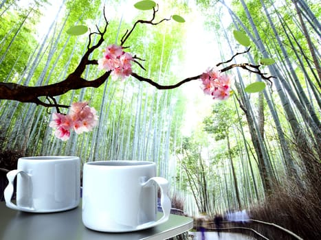 Beautiful sakura with nice background for adv or others purpose use