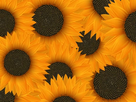 Summer background design with sunflowers