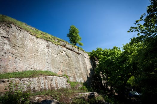 Photo of lonely tree growing on top of steep rock