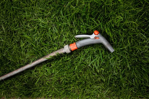 Closeup photo of garden hosepipe lying on fresh green grass